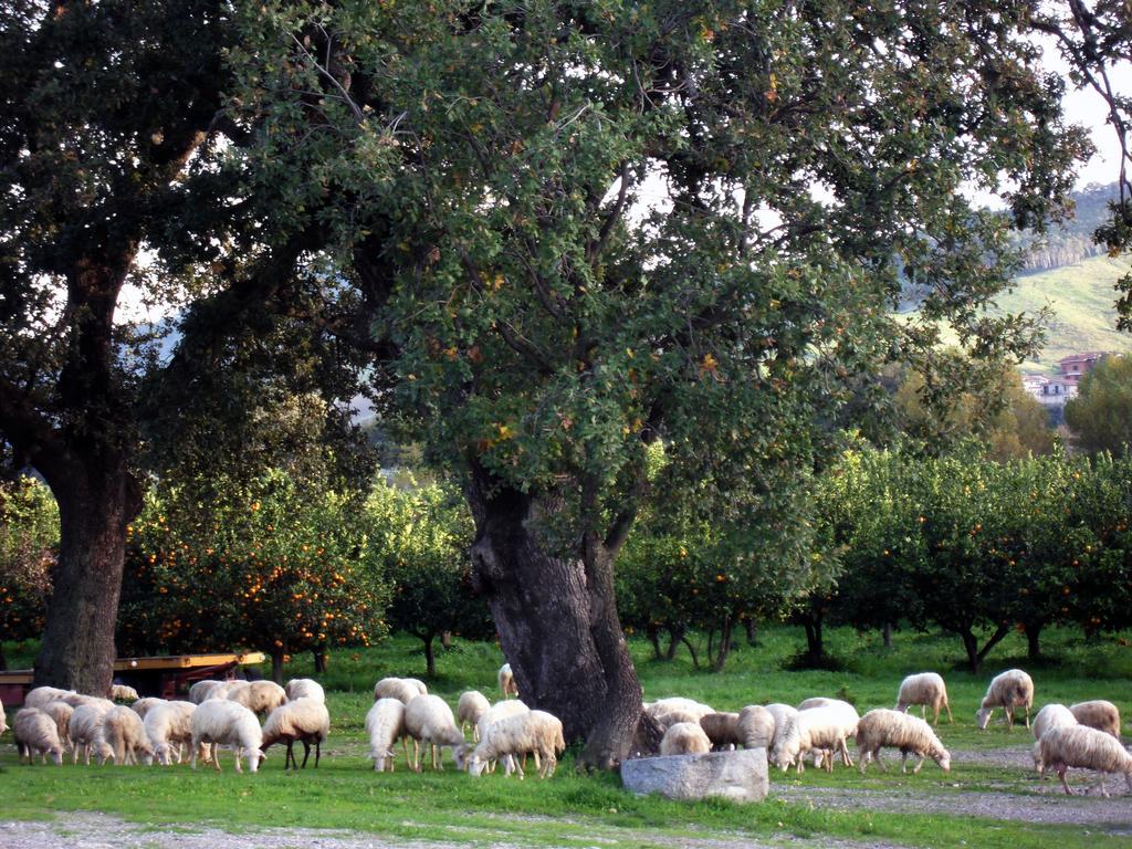 Barone Gr Macri Agriturismo Modi Джераче Екстер'єр фото